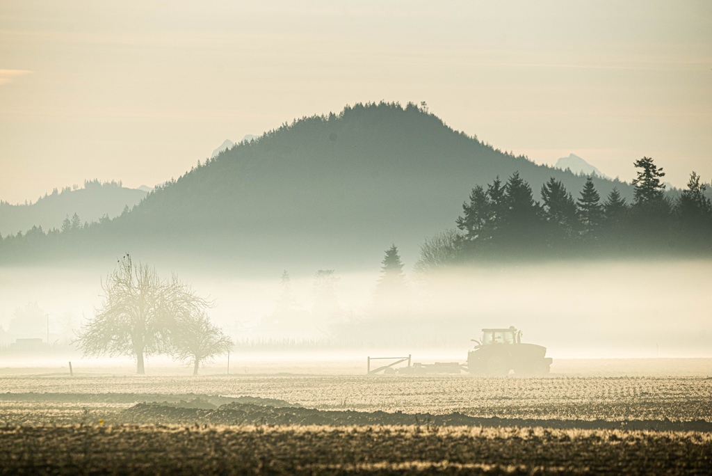Happy #NationalAgDay and #NationalAgWeek from all of us at Genuine Skagit Valley.

Agriculture Lives Here. 

#magicskagit #skagitgrown #genuineskagitvalley