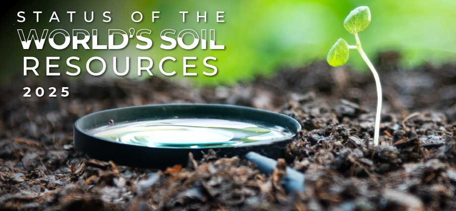 westsyduhie's tweet image. Work is under way by the main scientific body to the Global Soil Partnership @FAO #ITPS to produce the next Status of the World's Soils Resources Report, which will be published on World Soils Day, Dec 2025
@Prof_Braj_Singh #SoilHealth @westsydunews