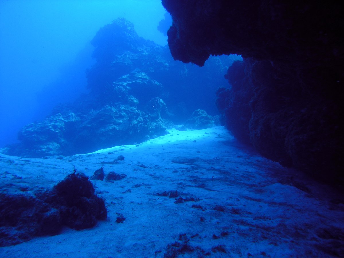 QP a photo with one dominant color!