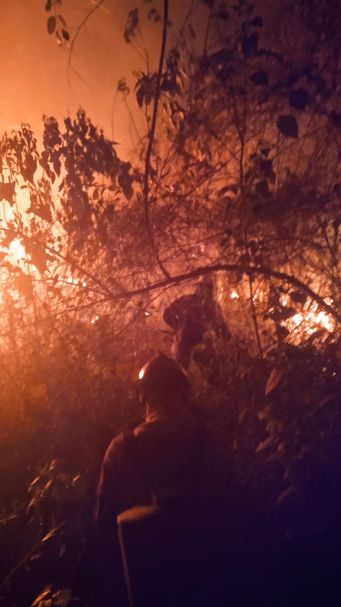 Los @bomberuc atendieron en el Sector La Entrada, Urb. Terrazas del Rocío, incendio forestal este lunes #18mar