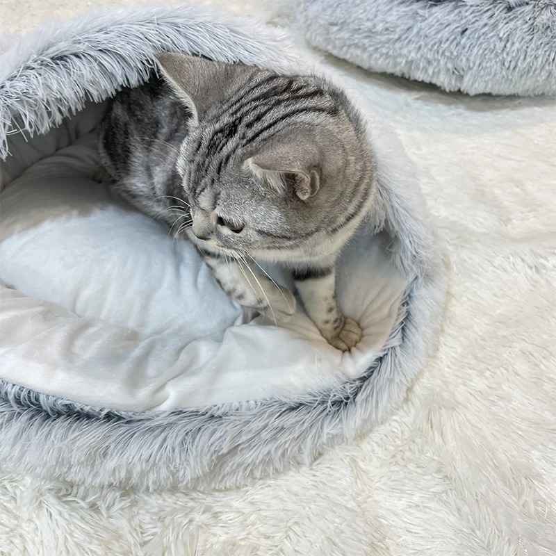 Bingopets_shop's tweet photo. The Ultimate Pet Accessory: Cozy Plush Bed for Cats and Dogs 🛍️
https://t.co/ITI8iVb3Kt
#dog #dogbreed #ilovemydog #bestwoof #dogmodels #dogbreed #ilovemydog #pet #DogsOfTwitter #puppy #dogsarefamily #dogstyle
#Cat #Cats #CatsOfTwitter #kitty #ilovecats #catsoftwitter https://t.co/TggRrlJWE7