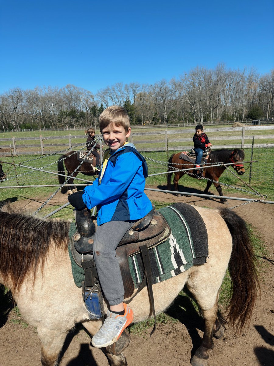 mrsbaileyfinch's tweet photo. More sweet farm pictures! 💞 https://t.co/V4h9OdG2sd
