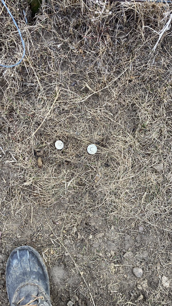 There’s your electronic bangs tag.