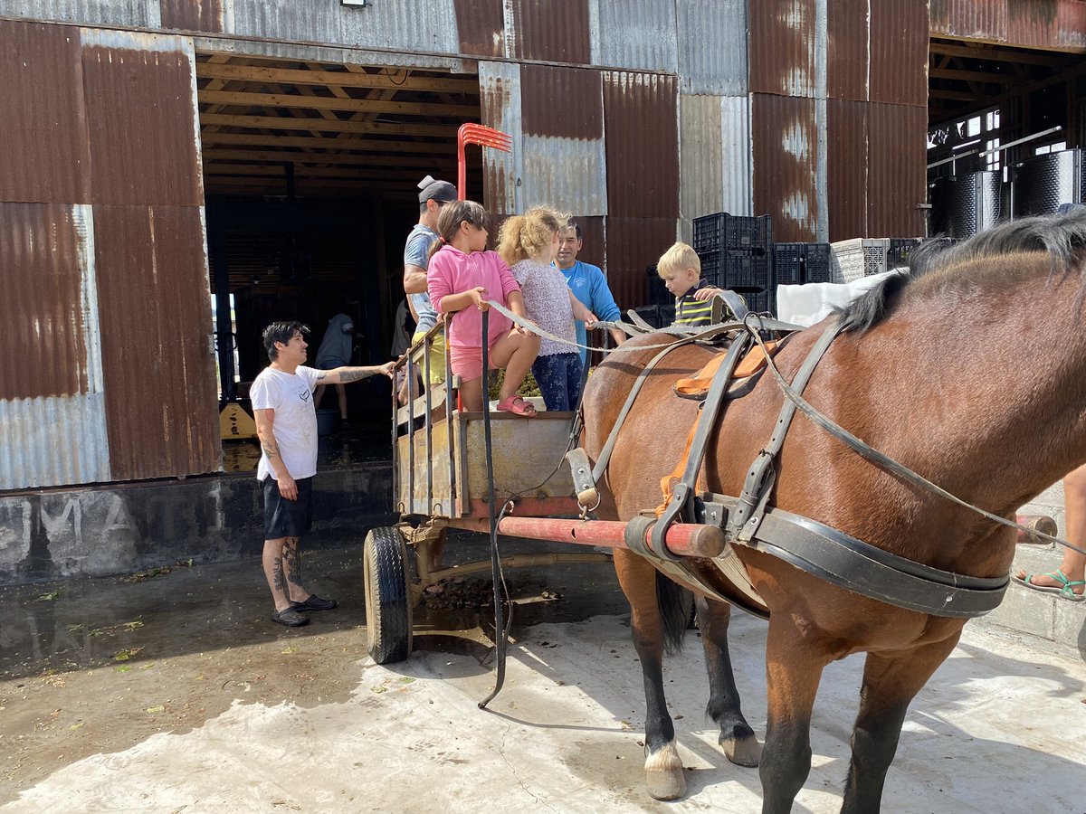 Del pasado al futuro 💚