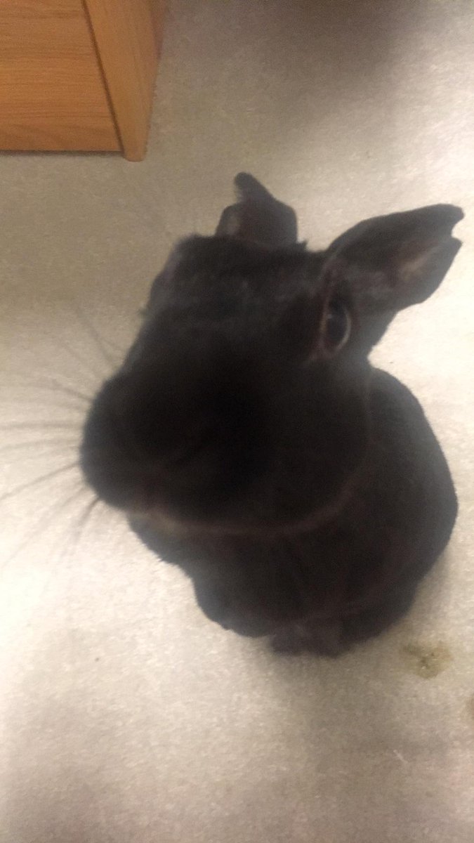 art vs        the artist