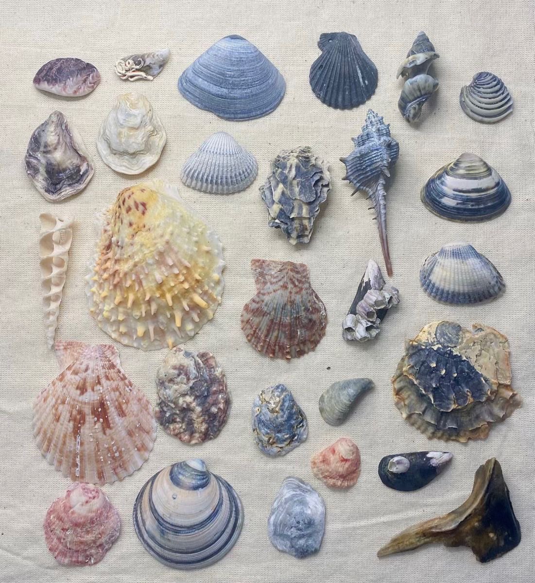 auge (@wauii8) on Twitter photo 