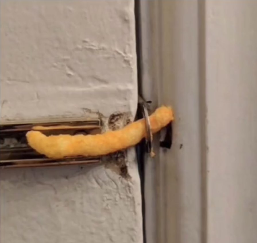 al_3jmil's tweet image. بيني وبينه ، مرهفات المزاليج 
موضوعنا ما يستحق الحدايد :)😂