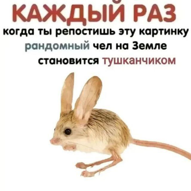 ᶻ 𝘇 📻 настя ✷ tweet media