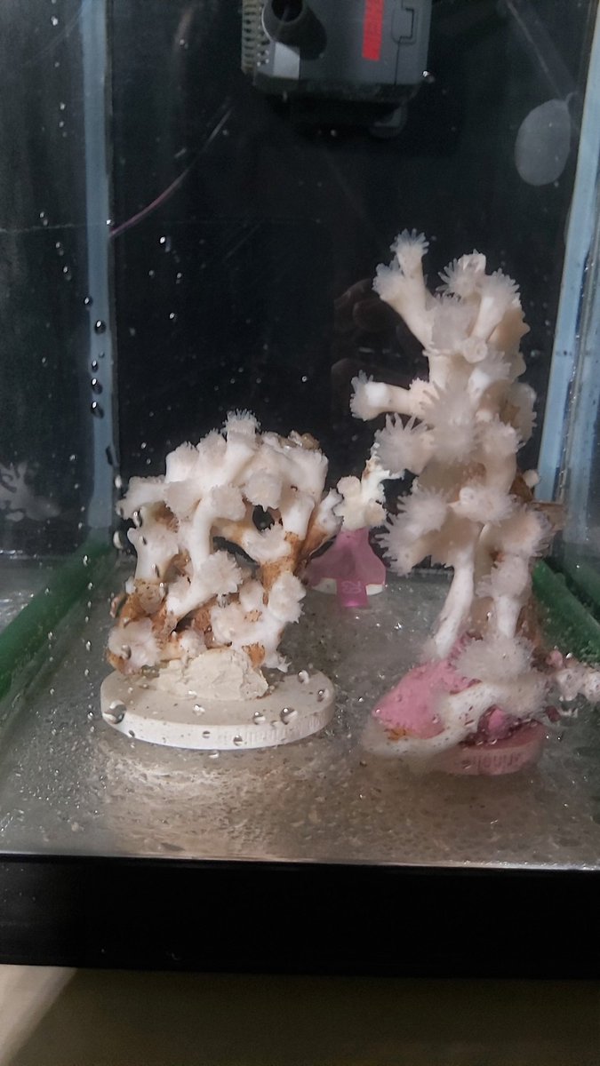 Kaylee M.Peers tweet media