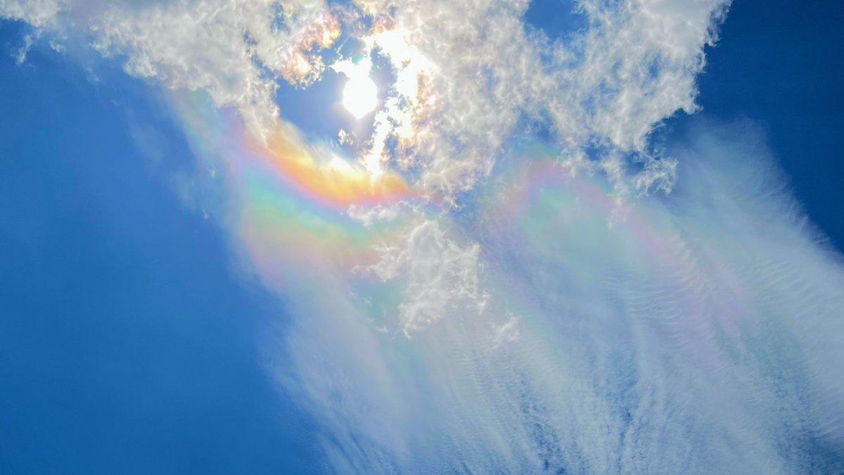 ⚠️これが見れたら⚠️

奇跡の春分

とリプで最幸の春が確定✨