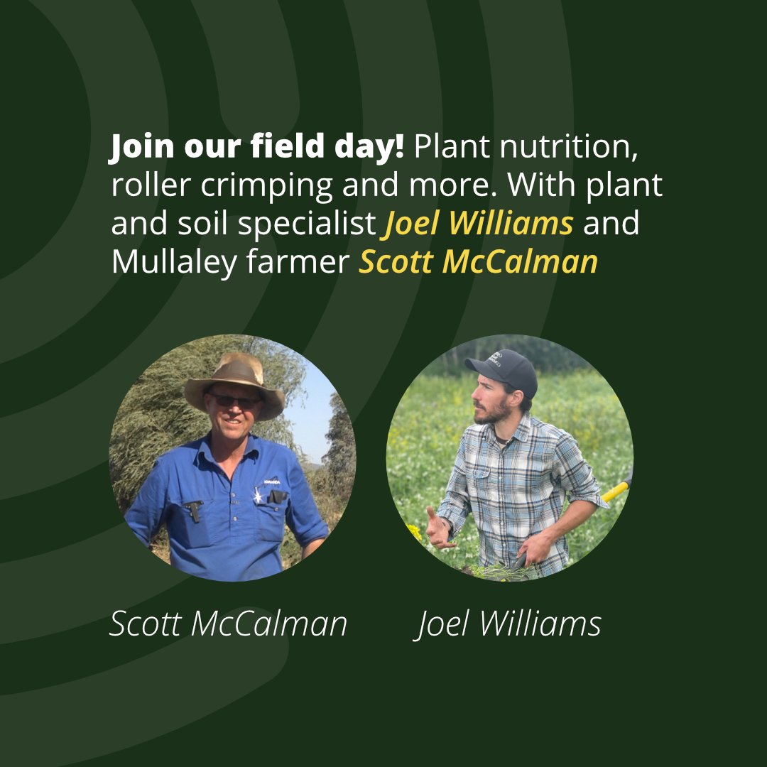 Join our field day; 'Making Cover Crops Work', Wednesday 27 March in Emerald Hill, NSW. Farmer Scott McCalman talks about integrating cover crops in his broadacre enterprise. Joel Williams will share insights into plant nutrition. Book your tickets loom.ly/5IueLzw