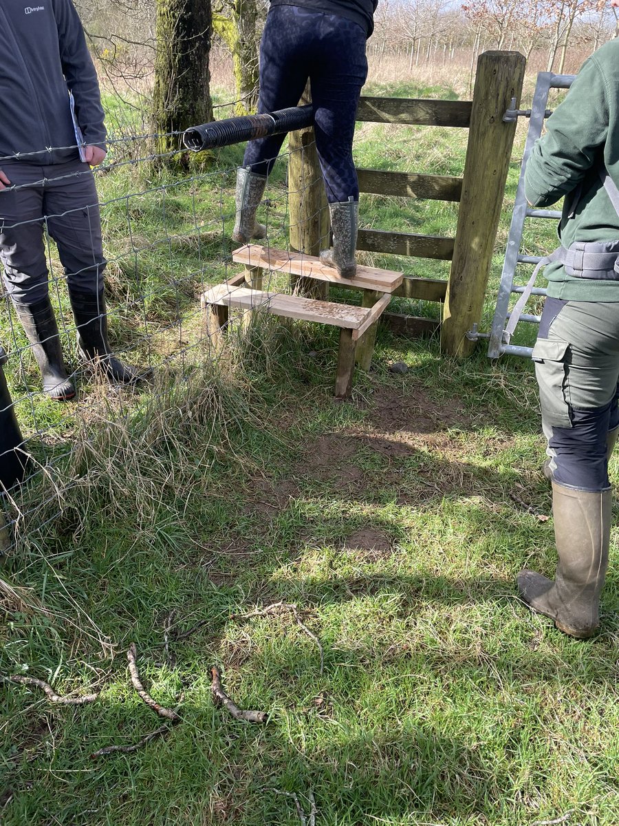 Running a training session today and before we arrived the group had installed a “special Buglife stile” so we could access the site 😍. So impressed! #mademyday