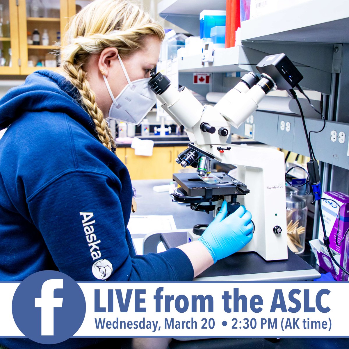Join ASLC vet staff tomorrow for a Facebook LIVE from the Central Lab as they walk us through the process of running in-house blood work. Ask questions in the comments and get answers live about how our team runs diagnostic blood tests from our small town in Alaska!💙