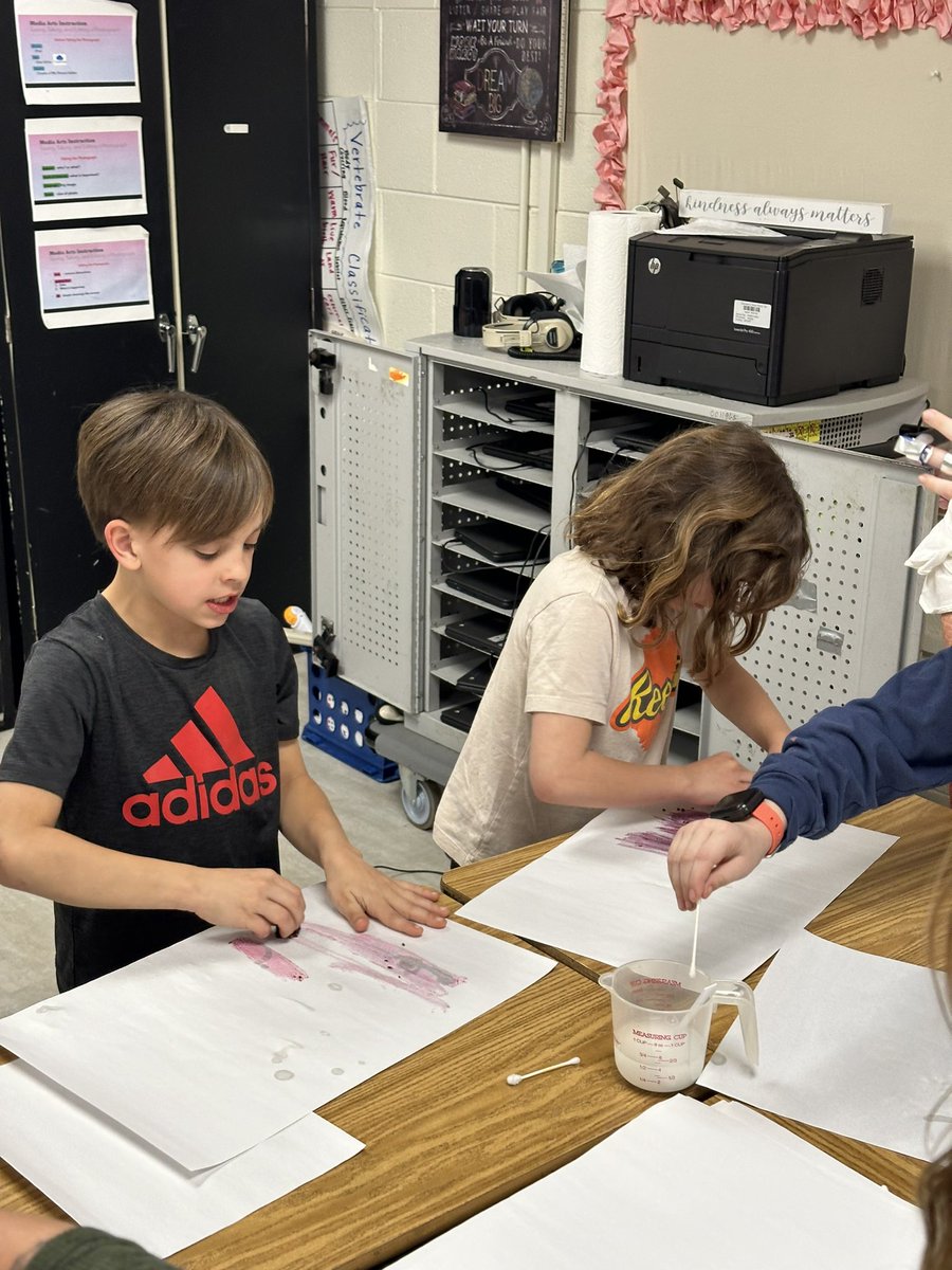 Alyse Chester 3rd Grade tweet media