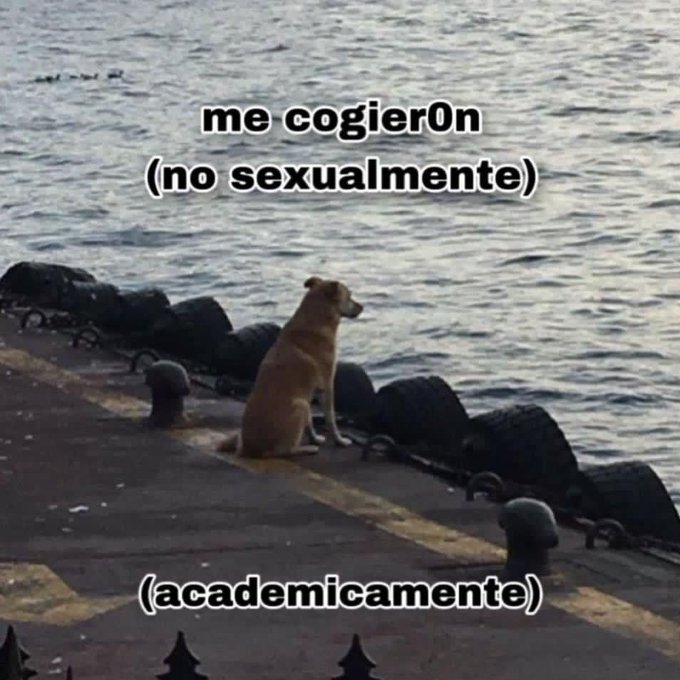 souul ​​❄️​​ (@frigosouul) on Twitter photo 