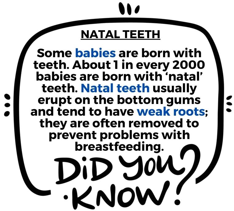 thetooth_dr's tweet photo. Did you know?? What are Natal Teeth?.
#flossdental #thetoothdr #flossboss #didyouknow #vcdental #natalteeth #oralhealth #dentist #dentistry #trinidadandtobago https://t.co/MN3n9MaVYl