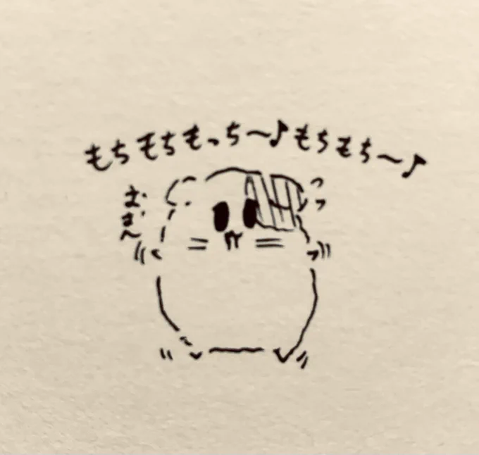 運動してるのに痩せないもちぷちさん((🐱))モチモチモッチー 
