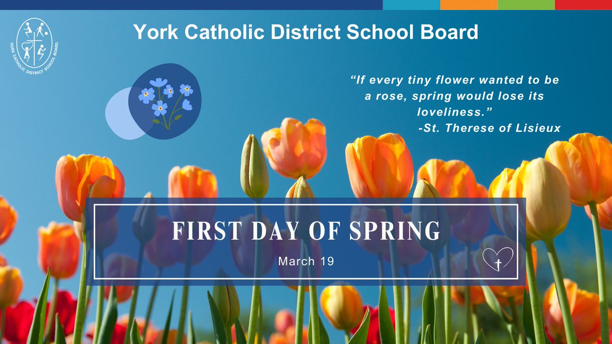 York Catholic District School Board tweet media