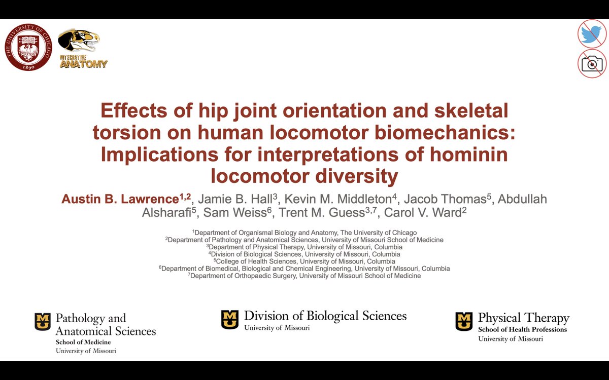 Are you attending #AABA2024? Are you interested in reconstructing locomotor behaviors in the fossil record? 

Come check out my talk (w/ @JamieHallPedsPT @JTBiomech @TGuessMU and @wardcv) in the Paleoanthropology: Morphological Signatures of Locomotion session Friday morning!