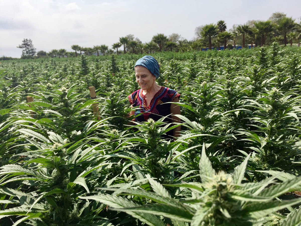 Cannabis is agriculture. #NationalAgricultureDay