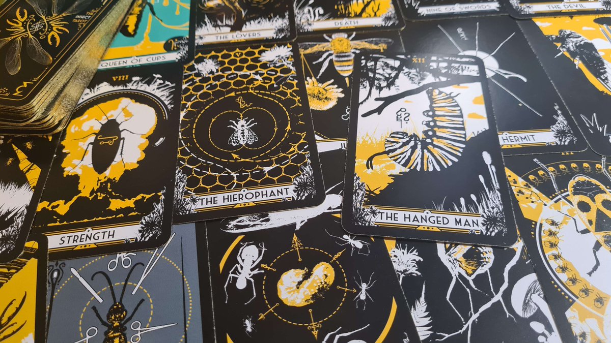 vividlyASMR's tweet image. &quot;The Insect Tarot&quot; by Sherman (@PrestoProjects)

Absolutely gorgeous deck with holographic foil edges, good cardstock, and striking illustrations with a unique insect theme. Bonus points for a nice guide and solid storage box. 🪲

Thank you @_myrral for gifting this deck to me!