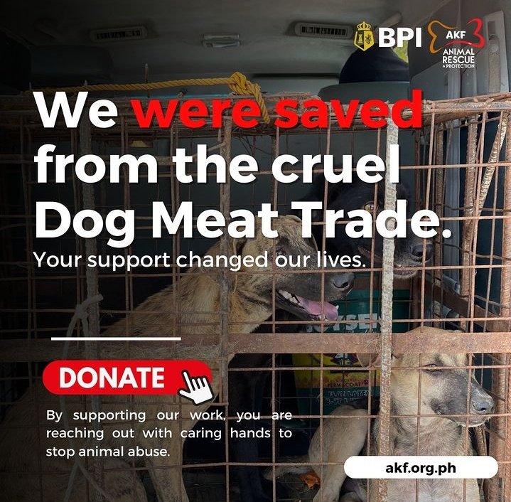 Trigger Warning!

 Hundreds of dogs &amp; cats are being killed everyday, especially the strays (aspins &amp; puspins). Wag tayong maging selective sa pinaglalaban natin, hindi porket may breed tsaka lang tayo magsasalita. 

#JusticeforErika
#JusticeforKillua
#StopAnimalCruelty