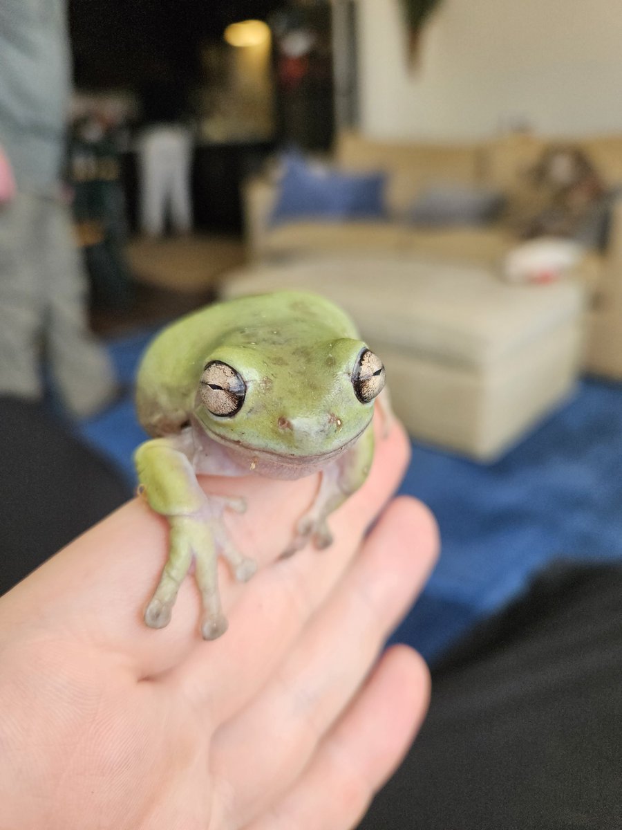 Icepickun's tweet image. Suddenly Springtime! And the critters are lively!