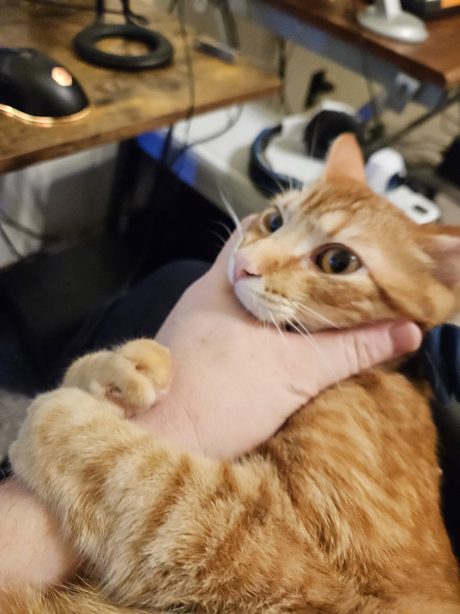 Icepickun's tweet image. Suddenly Springtime! And the critters are lively!