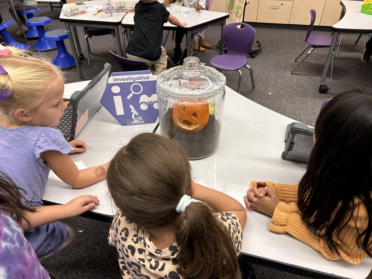 Ms.Welch tweet media