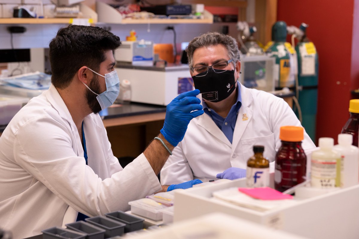 @UofAZSurgery Professor of Surgery Klearchos Papas, PhD, and his team were awarded a $2.65 million grant from the @JDRF for their research in eliminating glucose testing and injections for diabetics. Learn more: bit.ly/48SbqfF