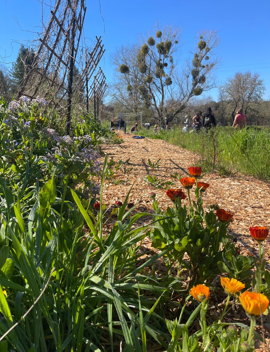The Cultural Conservancy (@tccnativeland) on Twitter photo Spring is here 🌱🌸🌿🪴🌼🪻🌱
Happy Spring Equinox! ✨🌞
#TheCulturalConservancy Spring is here 🌱🌸🌿🪴🌼🪻🌱
Happy Spring Equinox! ✨🌞
#TheCulturalConservancy