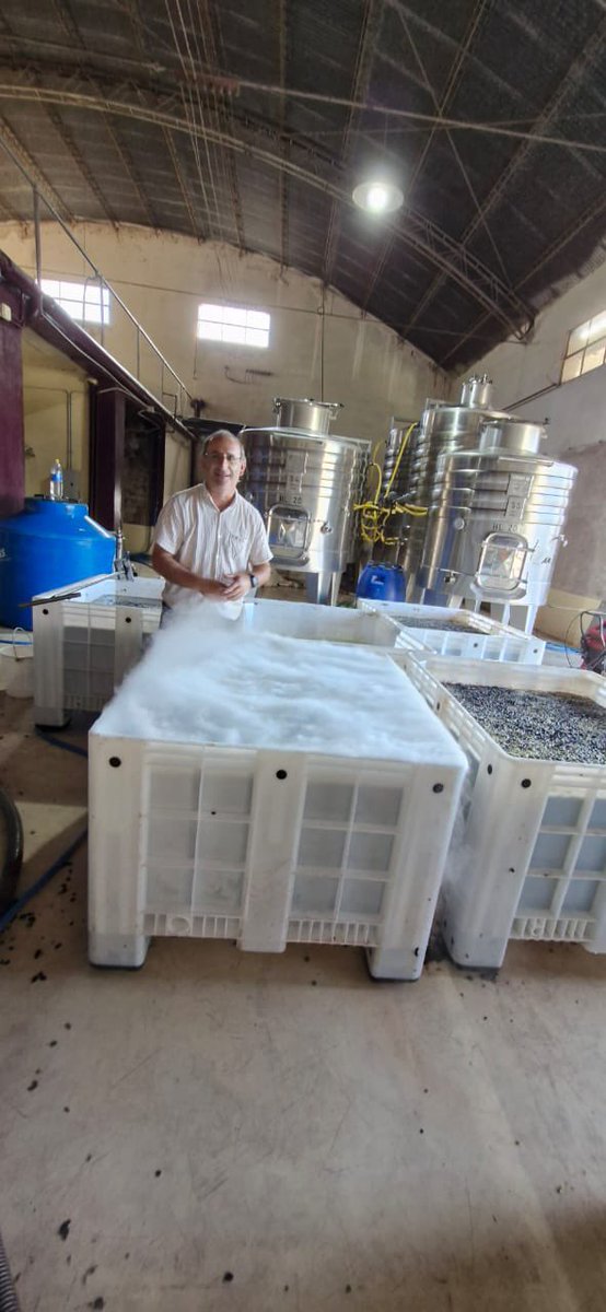 Enrique Sack tweet media