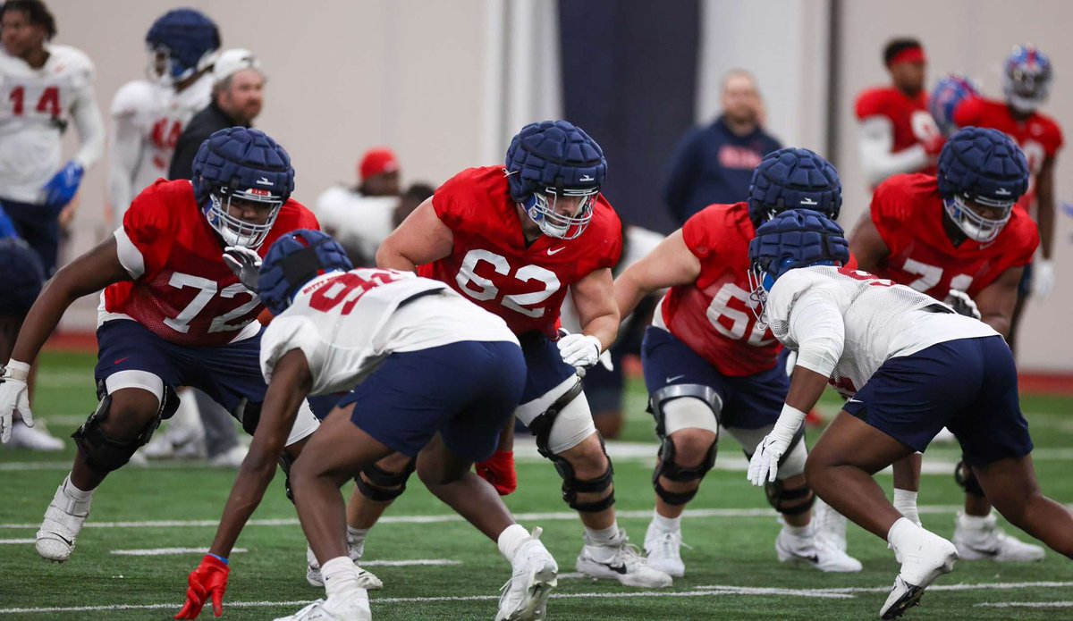 Spring has begun 🦈