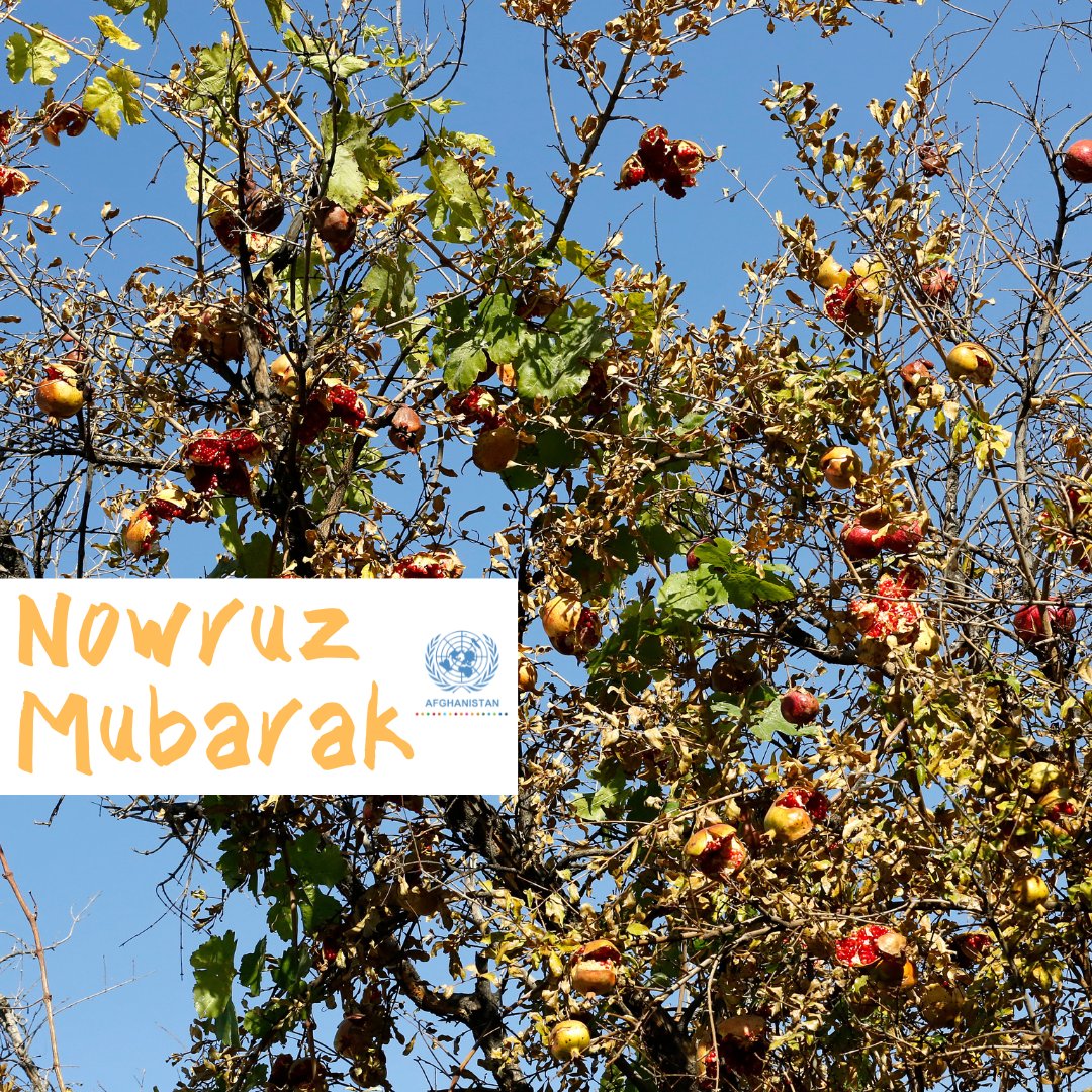 The UN in Afghanistan joins Afghans in celebrating #Nowruz and the beginning of spring as a time of renewal and shares their hopes for a peaceful, stable and prosperous #Afghanistan for all. #NowruzMubarak