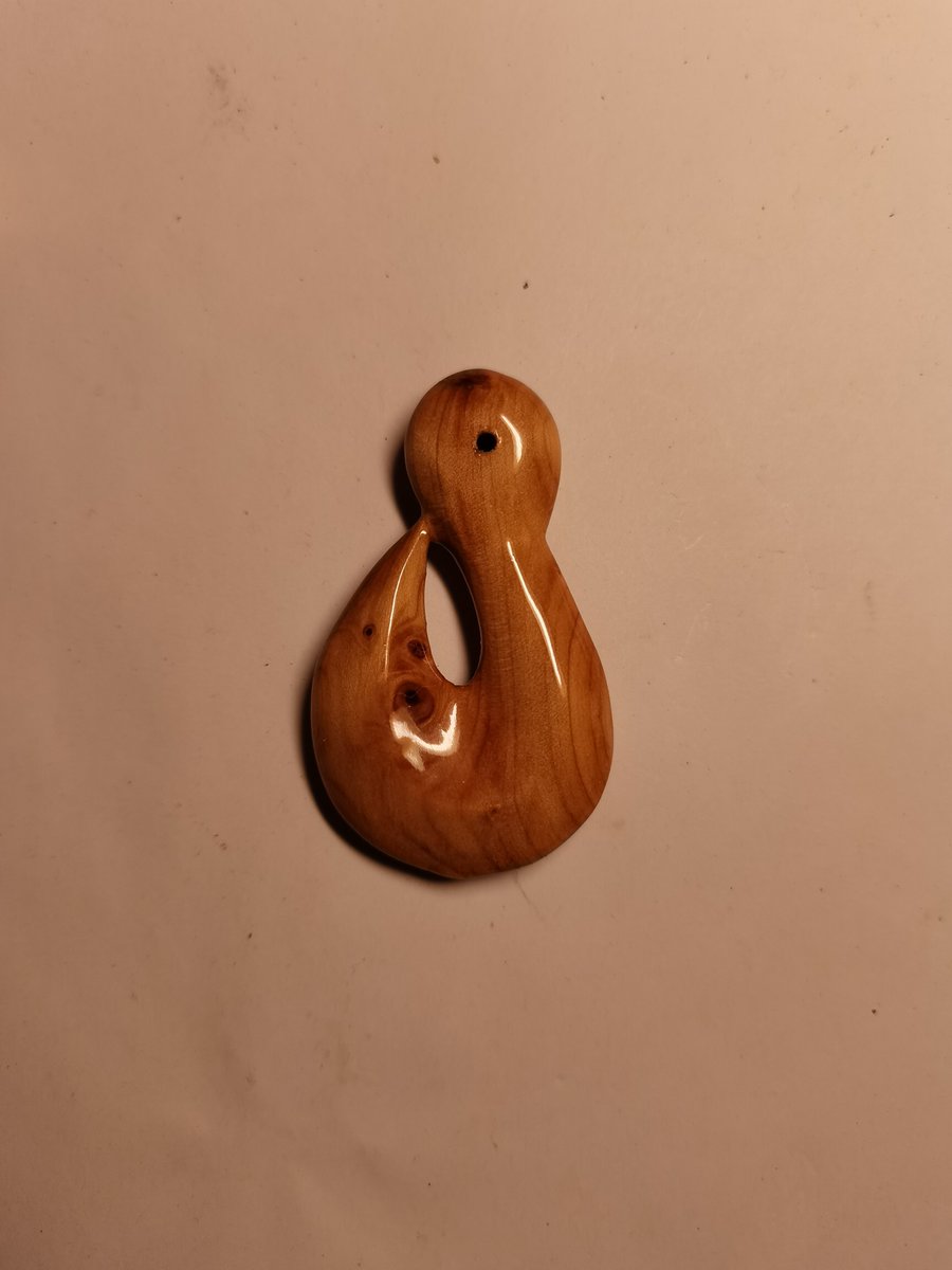 Scycoman's tweet image. #seashepherd #damagedone #dtproject