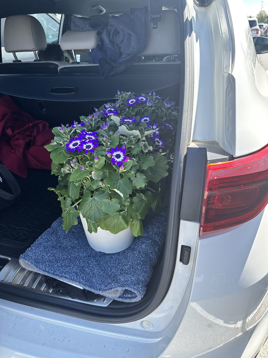 KeshiaSonger's tweet photo. I’m so happy spring is here! https://t.co/3O4txQusPk