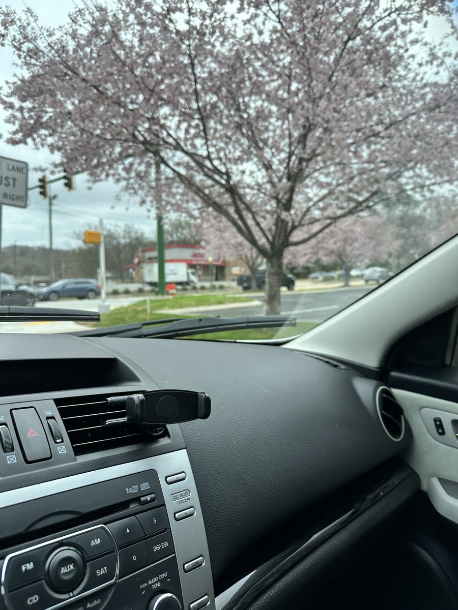 KeshiaSonger's tweet photo. I’m so happy spring is here! https://t.co/3O4txQusPk