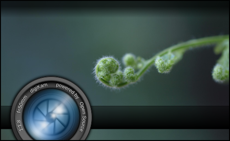 Call to digiKam Splash-screen contributions: digikam.org/news/2024-03-2…