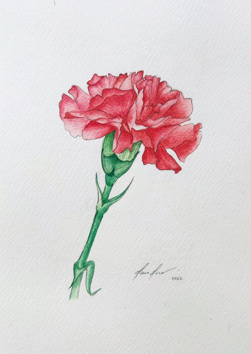 htarhtar_art's tweet photo. 𝒞𝒶𝓇𝓃𝒶𝓉𝒾ℴ𝓃 💐
#watercolorstudy
#flowerpainting #carnationpainting #botanicalart #painting #paintingart #illustration #drawing #watercolor #watercolorpainting #watercolorart #watercolourartist #camel #renaissancepaper https://t.co/NRRVsp7yk9