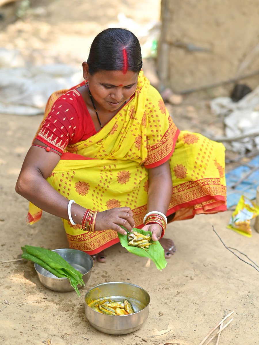 🐟 #DYK | 72.1% of Indian population now include #fish in their diets. 

Recent findings hint at fish consumption as a strategic tool against #undernutrition. 

Learn more 👉on.cgiar.org/3vfWOcm 

🤝<a href="/CGIAR/">CGIAR</a> <a href="/icarindia/">Indian Council of Agricultural Research.</a> <a href="/WorldFishCenter/">WorldFish</a> #India