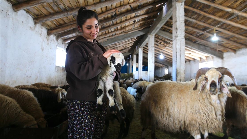 HAKKARİ’DE GENÇLER “UZMAN ELLER” PROJESİYLE HAYALLERİNİ GERÇEKLEŞTİRDİ 👉koykahvesi.com.tr/tarim/hakkarid… #Hakkari #uzmaneller #proje #köy #çiftçi