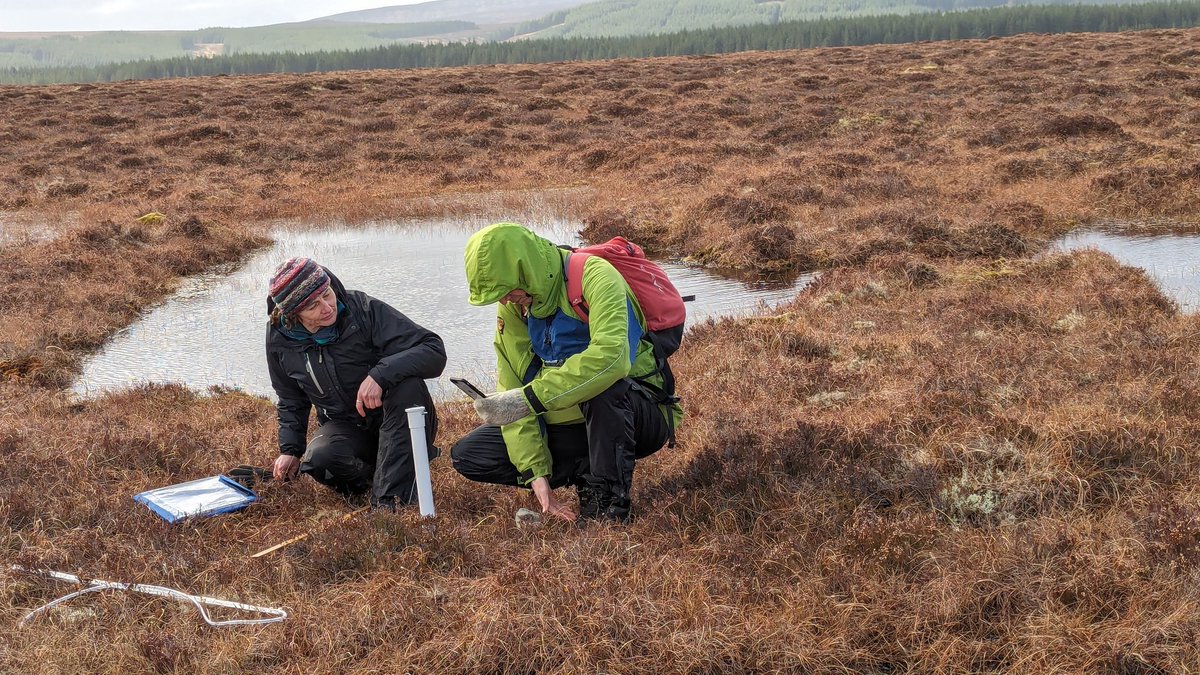 .@JamesHuttonInst and the @unionottingham were on the Cross Lochs peatland today, groundtruthing the landscape and checking the network of  water table loggers which contribute to European-wide modelling