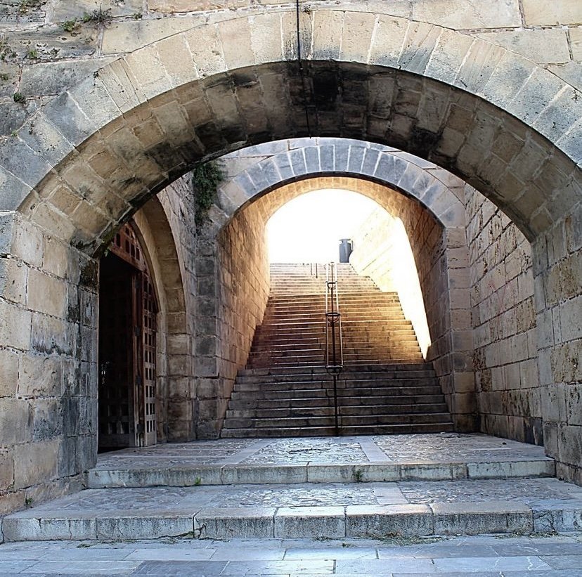 ¿Sabías que el siglo pasado había un tren que unía la Pl. Major y el Parc de la Mar? ¿Y que la Almudaina contaba con un embarcadero privado en su época almorávide? Descubre las huellas de las pequeñas historias que conforman la Historia de Palma🥰

#VISITPALMA

📷siente_mallorca