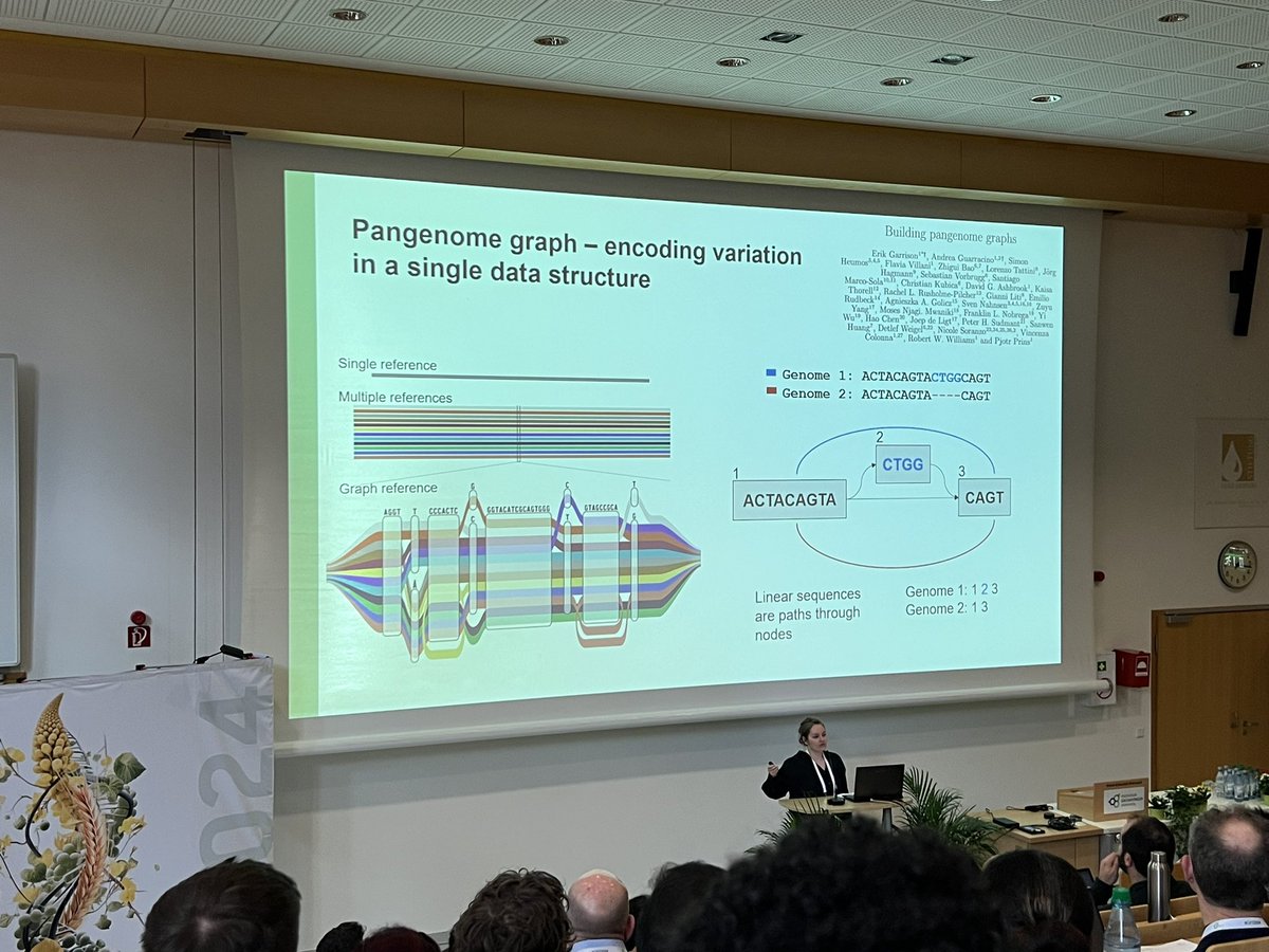 Saminho (@agentfortynine) on Twitter photo It's becoming increasingly interesting for plant breeders, as <a href="/AgnieszkaGolicz/">Agnieszka Golicz</a> highlights how advances in sequencing technologies are revolutionizing plant genomics at the <a href="/GPZconference24/">GPZ conference 2024 in Geisenheim</a> in Geisenheim. #GPZ2024 It's becoming increasingly interesting for plant breeders, as <a href="/AgnieszkaGolicz/">Agnieszka Golicz</a> highlights how advances in sequencing technologies are revolutionizing plant genomics at the <a href="/GPZconference24/">GPZ conference 2024 in Geisenheim</a> in Geisenheim. #GPZ2024