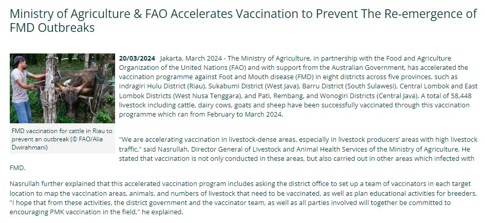 Read an update on the collaborative approach to management of foot-and-mouth disease (FMD) outbreaks in Indonesia via @FAOIndonesia: fao.org/indonesia/news… @FAO @kementan @DAFFgov
