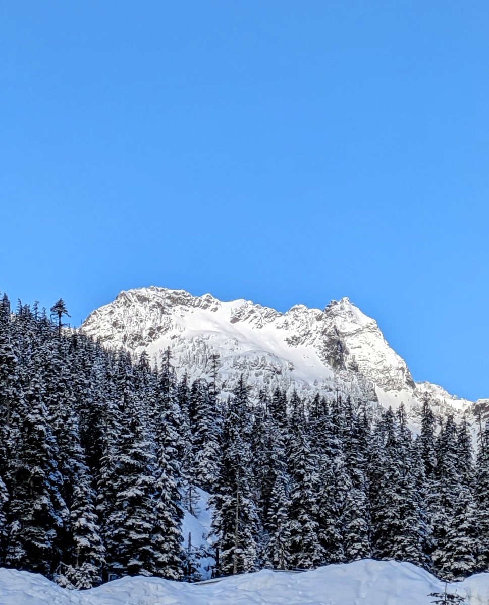 What a beautiful day!

#colorful #bestday #mountaintop #alpineskiing #treescape #beautifulviews #treehugger #bluesky #lovemountains #slope #naturelovers #landscape #tree #sky #snowy