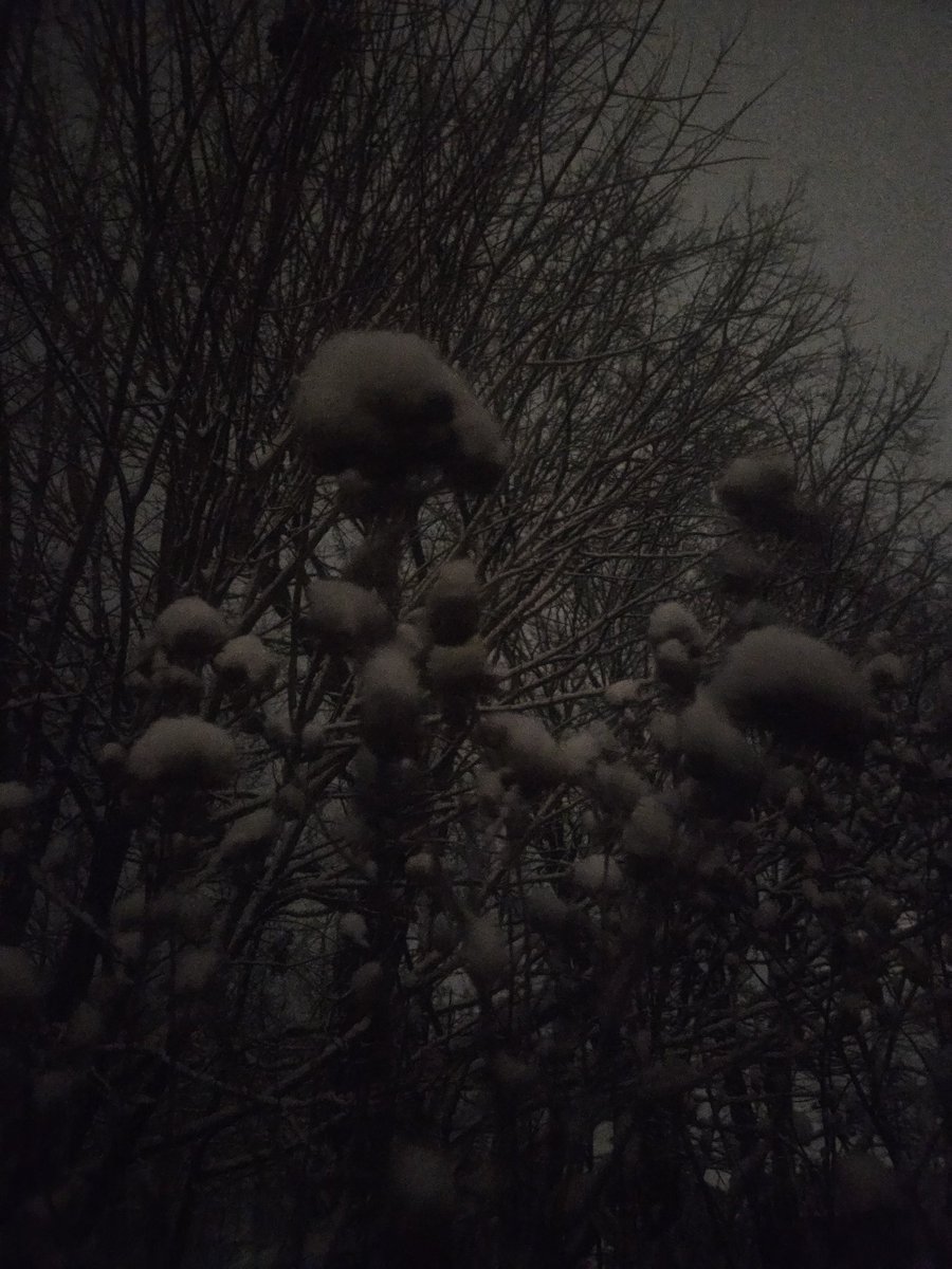 Snow, snow, go away!

Winter is still trying to hang on. 

#YGK