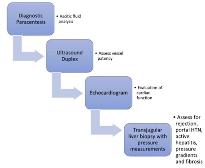 ❔Why do some patients develop ascites after liver transplantation? ✨Learn from @juanjgonMD about post-transplant ascites including how to evaluate and why we care! #livertwitter #GITwitter #MedEd #FOAMed aasld.org/liver-fellow-n…