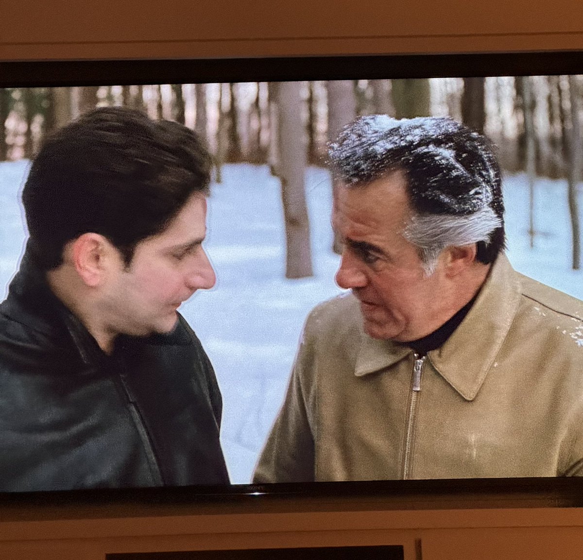 In the middle of rewatching THE SOPRANOS and I hit an all time favorite. “Pine Barrens”