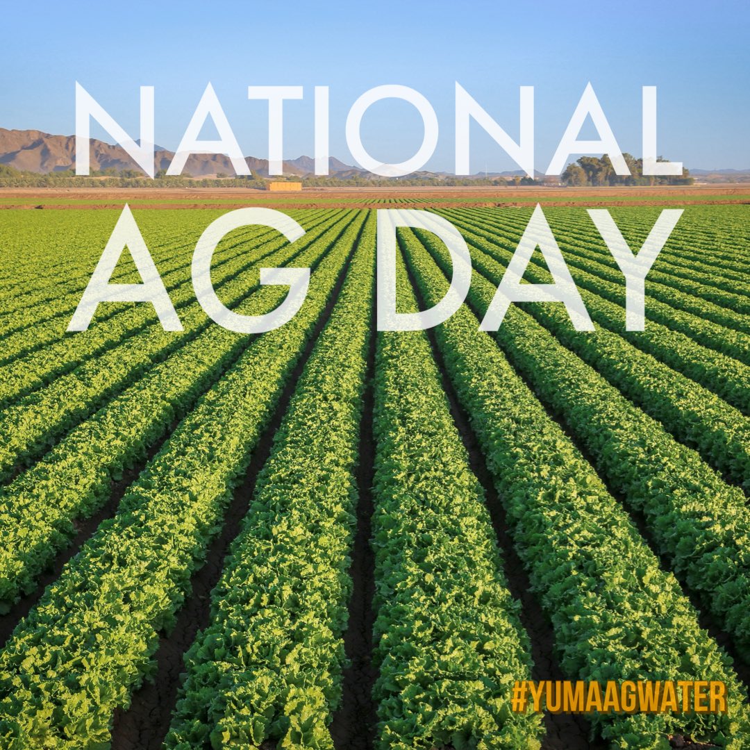 Today we celebrate National Ag Day because of Yuma Ag Water! #nationalagday #yumaagwater💧